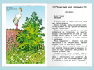 Книга Омега Школьная библиотека. Рассказы о природе